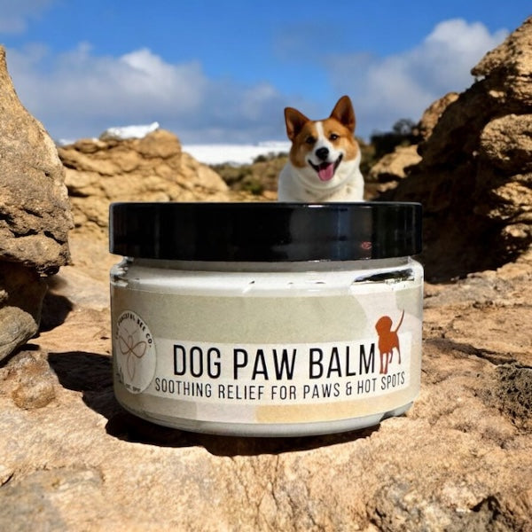 Dog Paw Balm