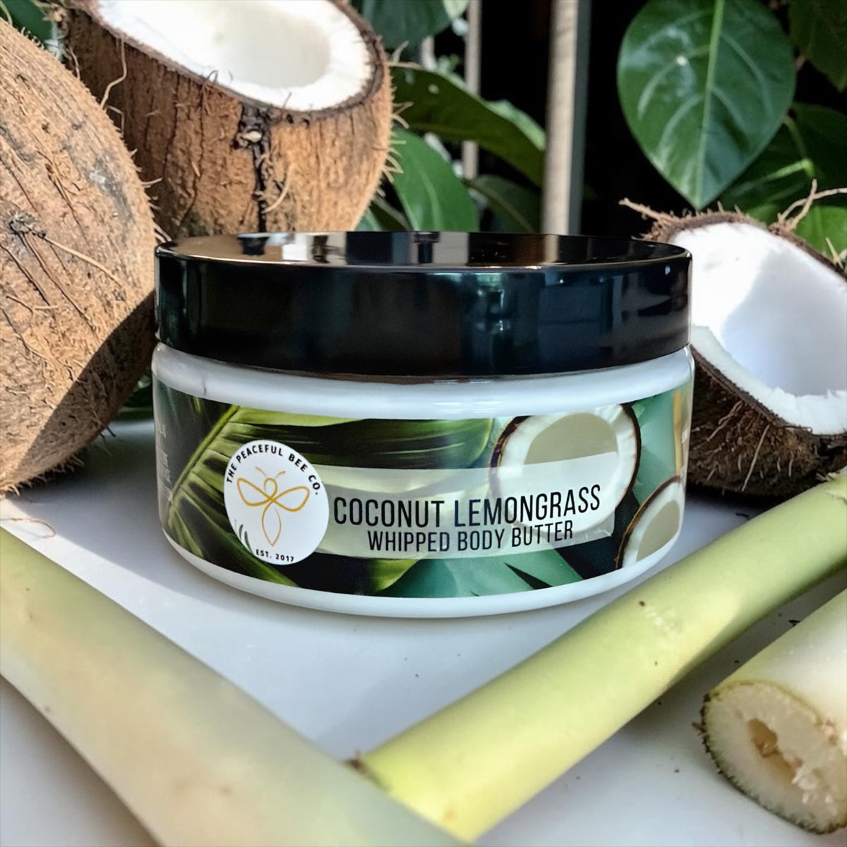 Summer Clearance - All Products
