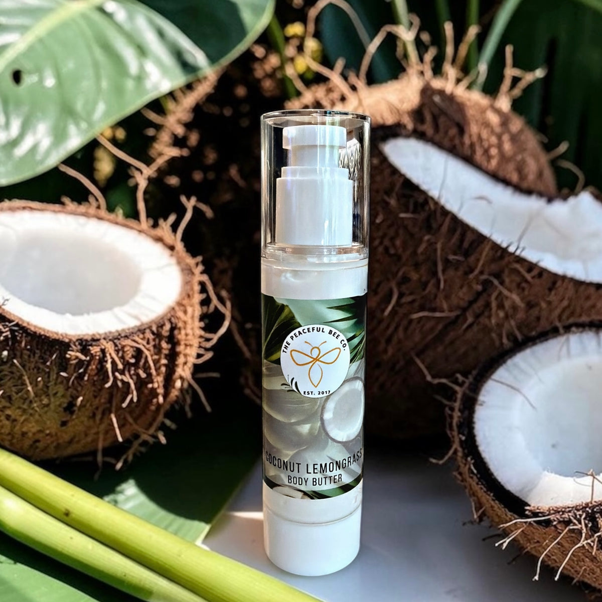Summer Clearance - All Products