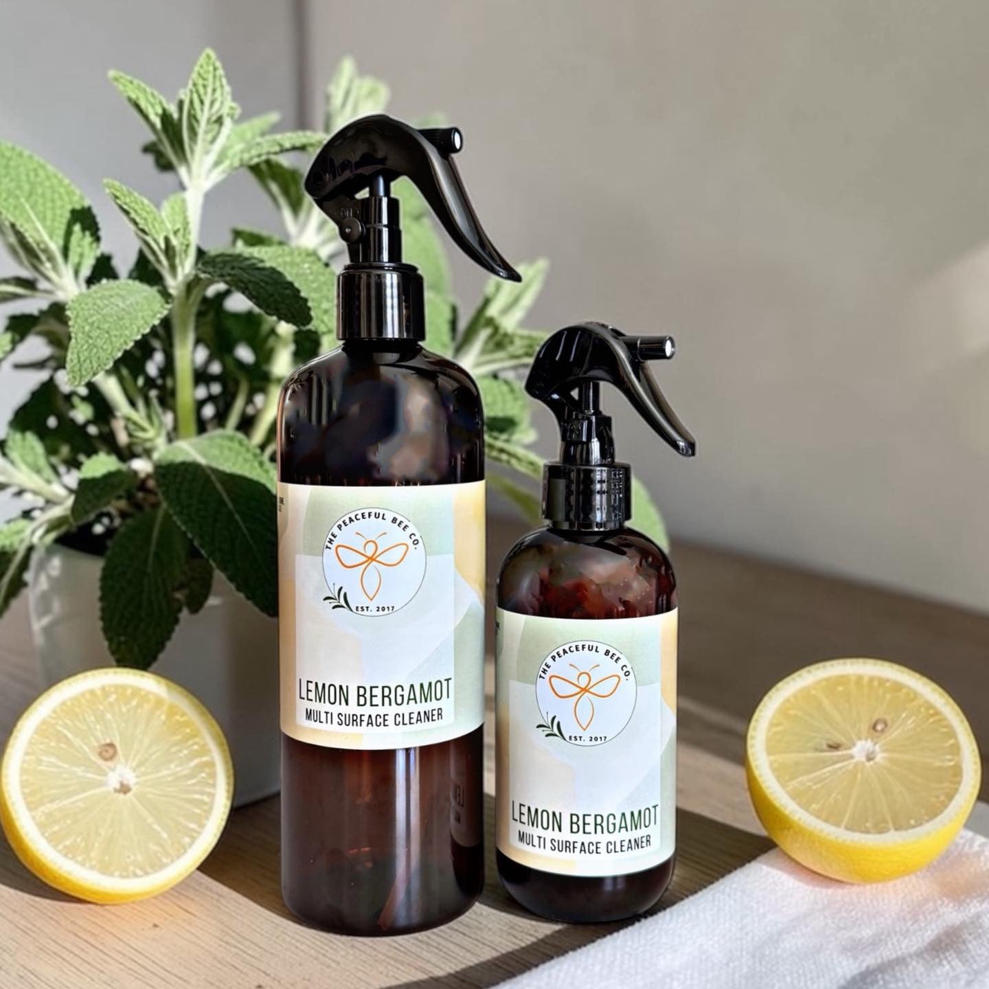 All Purpose Cleaner