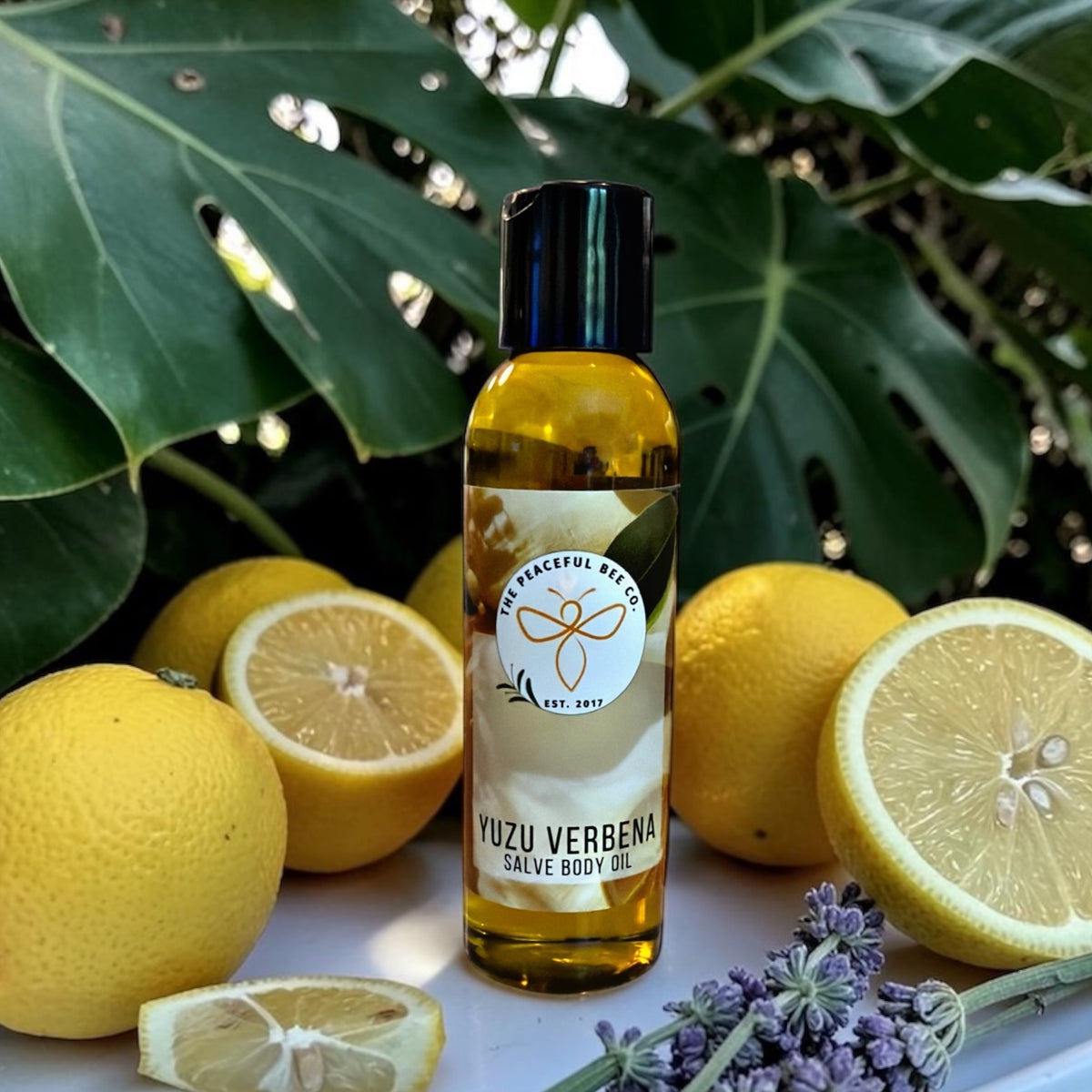 Summer Clearance - All Products